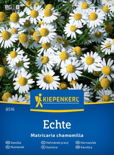 Rumianek pospolity "Matricaria"