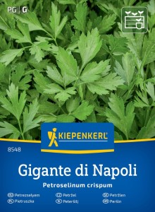 Pietruszka naciowa 'Gigante Di Napoli' - nasiona Kiepenkerl