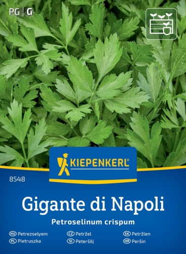 Pietruszka przód.jpg