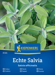 Szałwia 'Echte Salvia' - nasiona Kiepenkerl