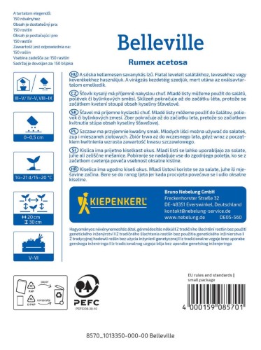 Szczaw zwyczajny tył.jpg