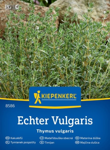 Tymianek pospolity 'Echter Vulgaris' - nasiona Kiepenkerl