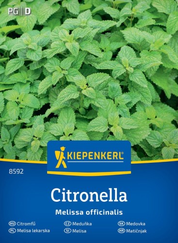 Melisa lekarska 'Citronella' - nasiona Kiepenkerl