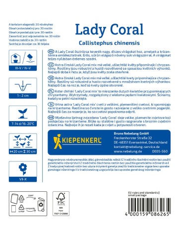 Aster Chiński tył.jpg