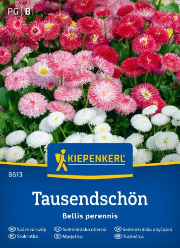 Stokrotka 'Tausendschön' - nasiona Kiepenkerl