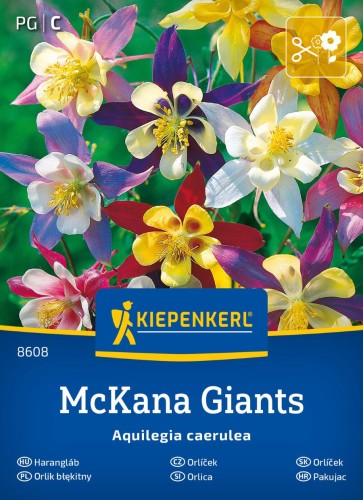 Orlik błękitny 'McKana Giants'