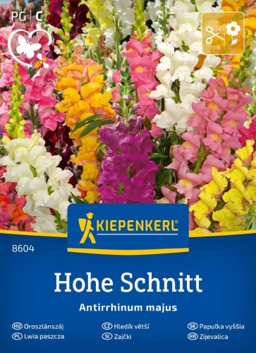 Lwia paszcza mieszanka na kwiaty cięte 'Hohe Schnitt'