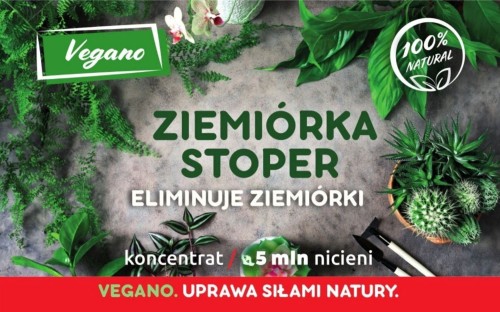 Ziemiórka Stoper 5 mln przód.jpg