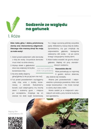 kal_sadzenia_strona.jpg