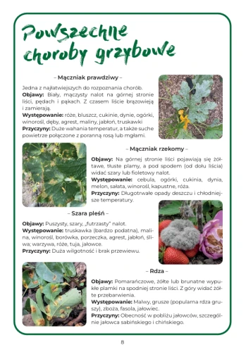 choroby.png