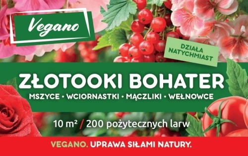 larwy-na-mszyce-maczliki-wciornastki-szkodniki