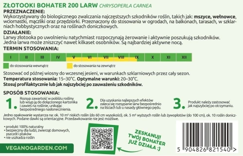 larwy-na-mszyce-maczliki-wciornastki-szkodniki