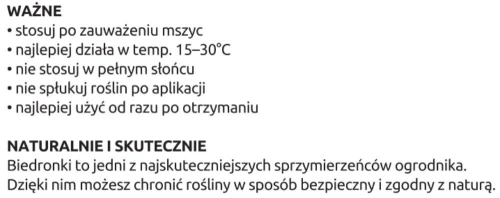 larwy-biedronki-na-mszyce