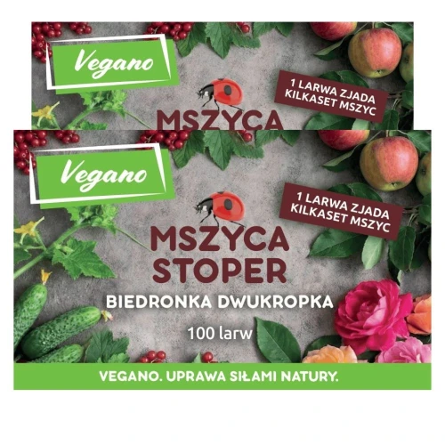 mszyca-stoper-larwy-biedronki-na-mszyce