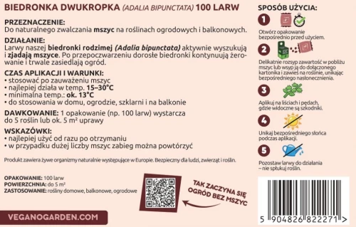 larwy-biedronki-na-mszyce