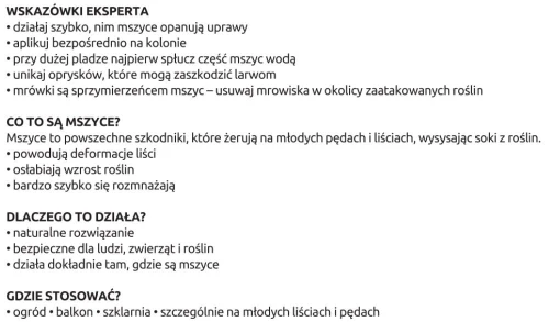 larwy-biedronki-na-mszyce