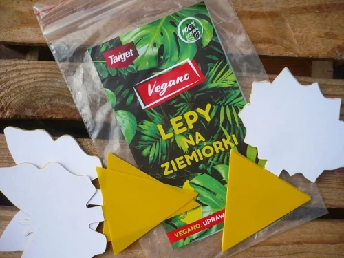 lepy-na-ziemiorki