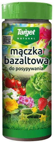 przód.jpg