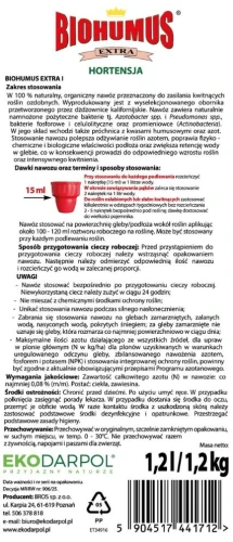 hortensja.jpg