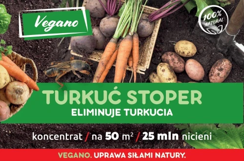 przód 2.jpg