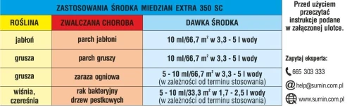 tył 1.jpg