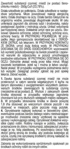 tył 2.jpg