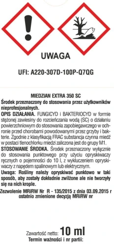 tył 3.jpg