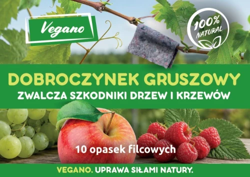 przód 10.jpg