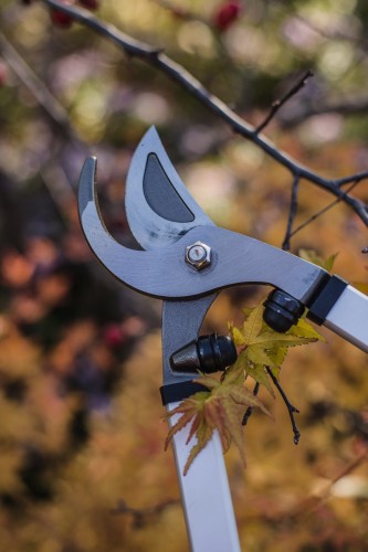 sekator dwuręczny.JPG