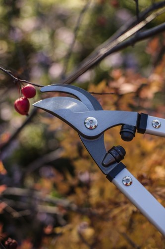 sekator dwureczny.JPG