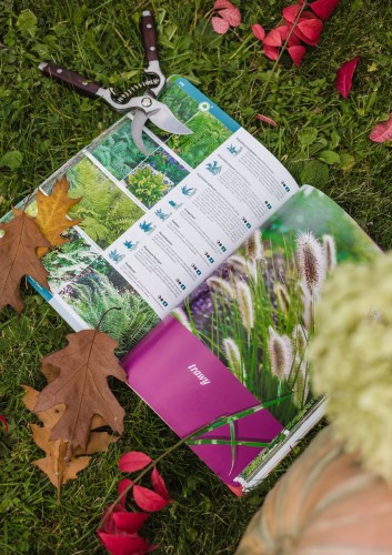 byliny  i trawy katalog.JPG