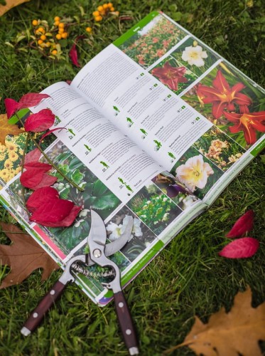 katalog bylin (2).JPG