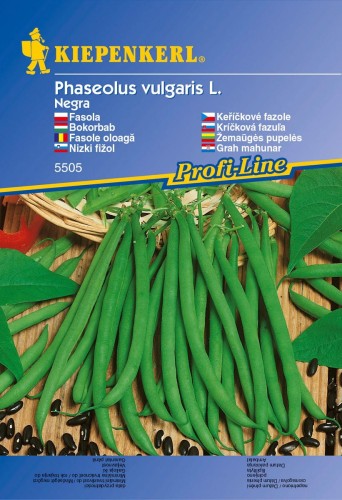 Zielona fasolka szparagowa.jpg