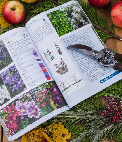 jakie rośliny do ogrodu.JPG