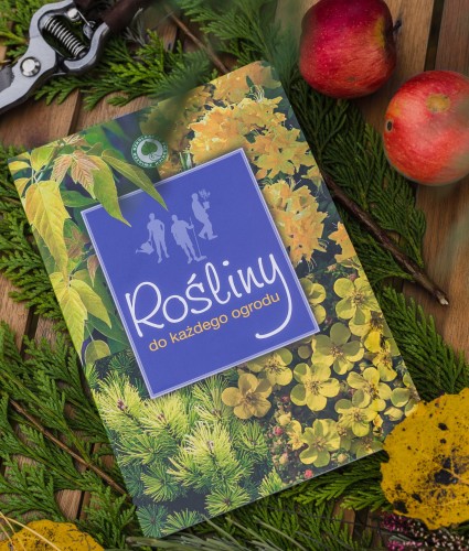 rośliny do każdego ogrodu.JPG