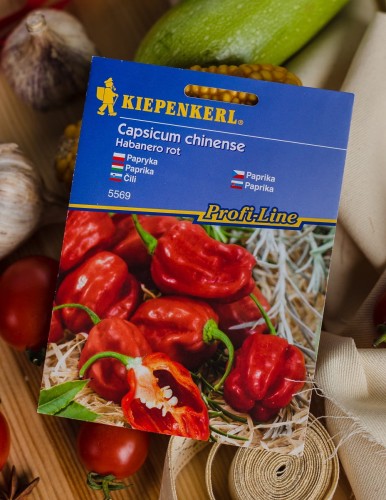nasiona papryka.JPG