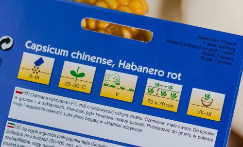 papryka nasiona.JPG