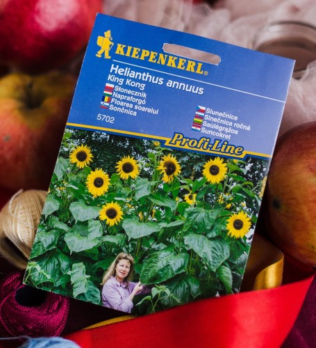 nasiona słonecznika.JPG