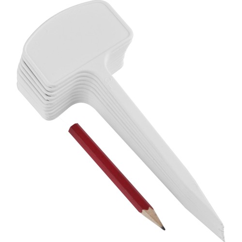 tabliczki do opisu nasion.jpg