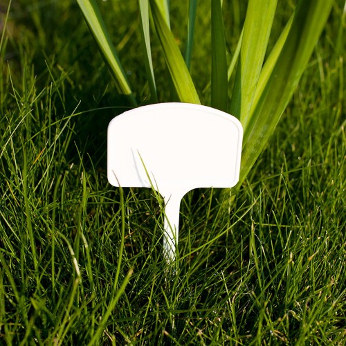 tabliczki do opisu roślin