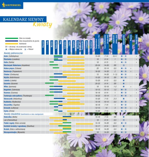 tabelka siewu_kwiaty-1.jpg