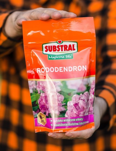 nawóz do różaneczników.jpg