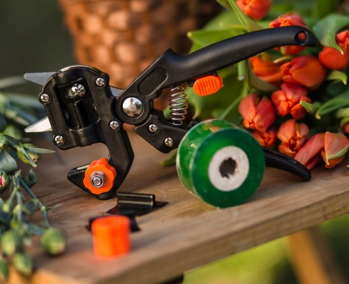 sekator do szczepień.jpg