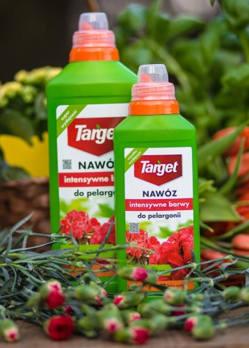 nawozy do pelargonii.jpg