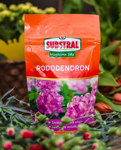 nawóz do różanecznikow rozpuszczalny.jpg