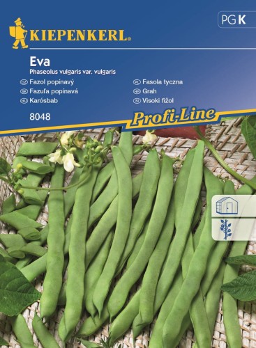 fasola tyczna_nasiona