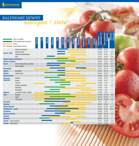 0tabelka siewu_warzywa-1.jpg