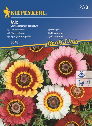 złocien trójbarwny