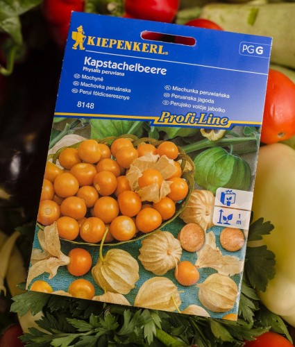 miechunka nasiona.JPG