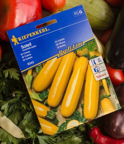 cukinia żółta nasiona zielone pogotowie.JPG